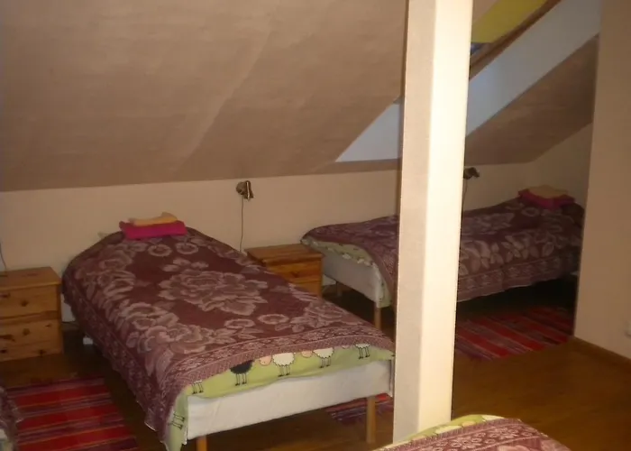 Guest house Madise 3*